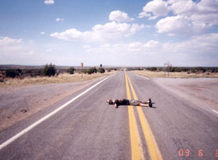 roadkill.jpg